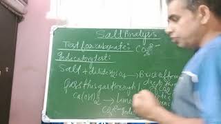 Acidic radicals One Shot Video Test for Acidic radicals Class XII Chemistry Salt Analysis Anion [upl. by Lambertson]