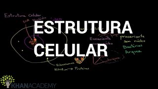 Estrutura Celular  Biologia  Khan Academy [upl. by Finny]