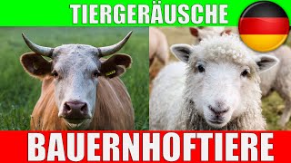 Bauernhoftiere mit Tierstimmen  Lerne Tiere auf dem Bauernhof [upl. by Wiles]