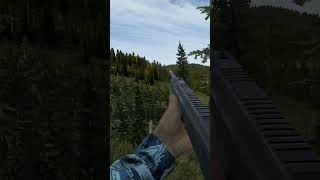 The LONGEST IRONS SNIPE in DAYZ [upl. by Adoh]