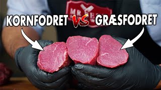 Vi Tester Forskellen På Græsfodret vs Kornfodret Oksemørbrads [upl. by Emmaline]