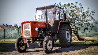 🔥OPOROWE WYRYWANIE WIŚNI 60siątką💪😎 🔥😎ENGINE SOUND OF URSUS C360🔥🚜 [upl. by Anilehs]