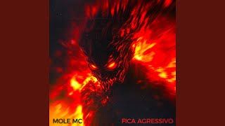 FICA AGGRESSIVO [upl. by Craner]