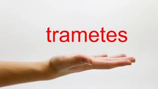 How to Pronounce trametes  American English [upl. by Hako]