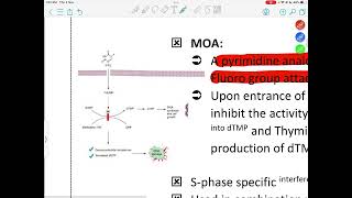 PHARMACOLOGY  LEC6  ANTINEOPLASTIC AGENTS 2  Mohammad A Itradat [upl. by Tolecnal265]