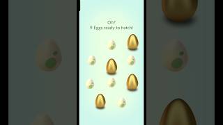 Shiny hatch day shorts hatch shiny hatch special event Pokémon gotcha ultragoo golden [upl. by Damalas343]