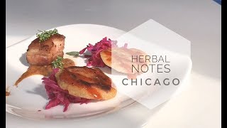 DOUBLE TAKE  Herbal Notes Chicago  An “Elevated” Brunch [upl. by Yancey]