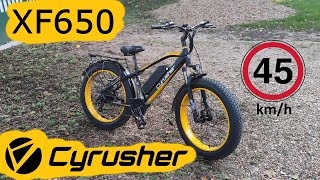 Cyrusher XF650  un fatbike 1000w qui décoiffe [upl. by Ashelman652]