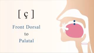 ç  unvoiced dorsal palatal non sibilant fricative [upl. by Tabbitha]