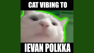 Cat Vibing To Ievan Polkka Swing [upl. by Niobe137]