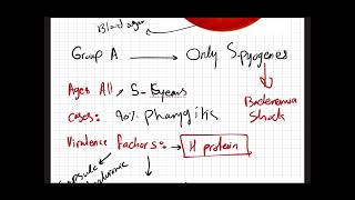 Microbiology  Streptococcus Species GramPositive Cocci [upl. by Yllak807]