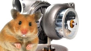 Hamster Turbo Teaser Trailer  Hybrid Turbos [upl. by Ecnarretal]