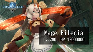 ToramOnline  So this is Mage Filecia huh Its time to tackle it Some Dual Wield Gameplay [upl. by Erek17]