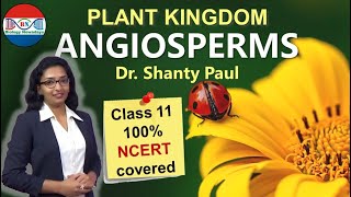 Angiosperms  Plant kingdom [upl. by Cher]