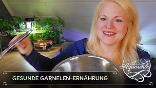 DIYFutter amp Industrieprodukte für Garnelen – Was ist wirklich sinnvoll 🌿🥫🏭🦐🤔  Aquarinas Erfahrung [upl. by Coucher]