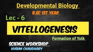 Vitellogenesis  Formation of Yolk  Developmental Biology 6  By Kusum Chaudhary [upl. by Yssim]