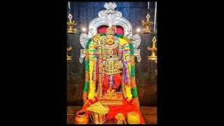 SINGARA VELAIYA MURUGAN DEVOTIONAL BY SEERKAZHI SIVACHIDAMBARAM [upl. by Jillian]