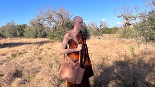 Approaches to Dhamma Iti 39 with Bhante Suddhāso [upl. by Akvir689]