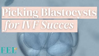 Hatching Blastocyst Success Rates [upl. by Egerton490]