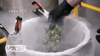 I Freeze Weed With Liquid Nitrogen for a Living [upl. by Ikcir]