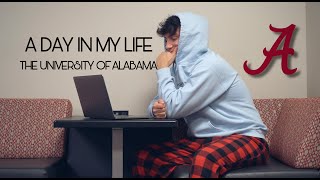 A Day In My Life at The University of Alabama [upl. by Colp]