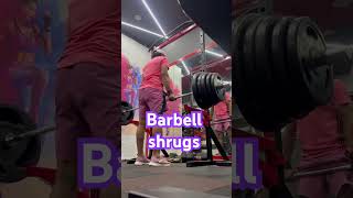 Shoulder shrugs barbell shrugs shrugs dumbbell shrugs shrug shorts gym short reels reel [upl. by Ocirema940]