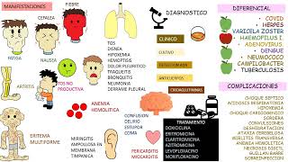 Mycoplasma pneumoniae [upl. by Nolyag240]