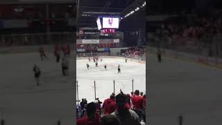 Rockford IcehogsBMO Harris Bank Center Goal Horn 2018 Calder Cup Playoffs [upl. by Weyermann]