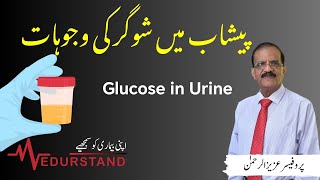 Urdu پیشاب میں شوگر کی وجوہات  Urine Glucose  Sugar in Urine  Medurstand by Prof Aziz ur Rehman [upl. by Yerac]