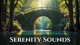 Serenity Sounds 🌿 Music to Unwind and Embrace Tranquility [upl. by Adnawat488]