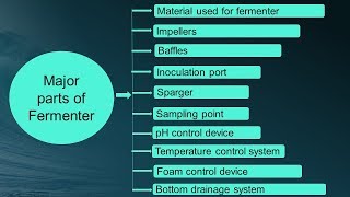 Design of Fermentor in Hindi  Microbiology with Sumi [upl. by Anigriv794]