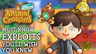 10 Exploits I WISH I Knew Sooner  Animal Crossing New Horizons [upl. by Fredette]