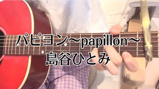 【弾き語り】パピヨン〜papillon〜  島谷ひとみ [upl. by Atiuqad]