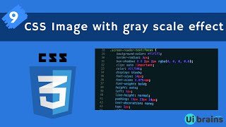 09 CSS Image with Gray Scale Effect  css tutorial for beginners  UiBrains  NAVEEN SAGGAM [upl. by Tewell51]