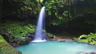 Dominica Travel Video Guide [upl. by Jerrol]