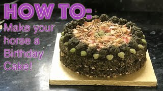 How to make a Birthday Cake for your Horse [upl. by Anavoig]