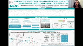 INFLUENCE OF PHYTOSTEROLS AND ERGOSTEROL ON WINE ALCOHOLIC FERMENTATION [upl. by Gratiana357]