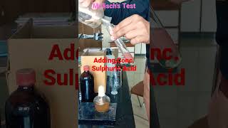 Identification Test for Carbohydrates  Molischs Test [upl. by Fadiman]