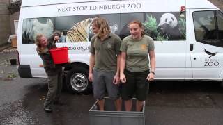 Edinburgh Zoo Ice Bucket Challenge [upl. by Aifoz]