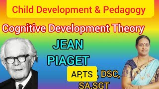 Jean Piaget Cognitive Development TheoryAPTS DSC Child PedagogyampDevelopment English mediumclasses [upl. by Jeunesse608]