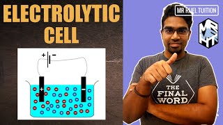 Electrochemical Cell  Electrolytic Cell [upl. by Asilet]