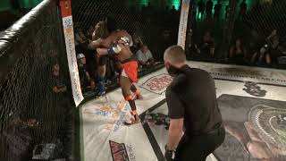 Grado Vs Hamilton Beatdown 33 MMA [upl. by Der]