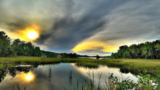 LOONS And Thunderstorm  Haunting Loon Calls With Thunderstorm Sounds [upl. by Enileve759]