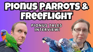 Pionus Parrots amp Free Flight  Pionus Tales Interview  TheParrotTeacher [upl. by Akirdnwahs872]