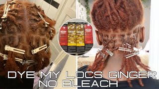 HOW TO DYE LOCS GINGER NO BLEACH L’Oréal HICOLOR HIGHLIGHTS Copper honey blonde ginger [upl. by Aciraj91]