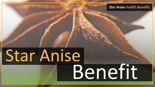 Health benefits of star anise tea [upl. by Eseerehs166]