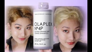 Olaplex No 4P Blonde Enhancer Toning Shampoo  Review [upl. by Washko903]