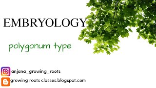 EMBRYOLOGY  Polygonum Type Embryosac Development Mayalam Explanation  BSc Botany [upl. by Anil]