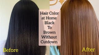 How To Apply Hair Color at Home  Black To Brown Hair Without Cutdown  Keune Hair Color [upl. by Banerjee]