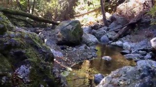 Willow Creek near old swinging bridge site Silver Peak Wilderness [upl. by Adnaloj]